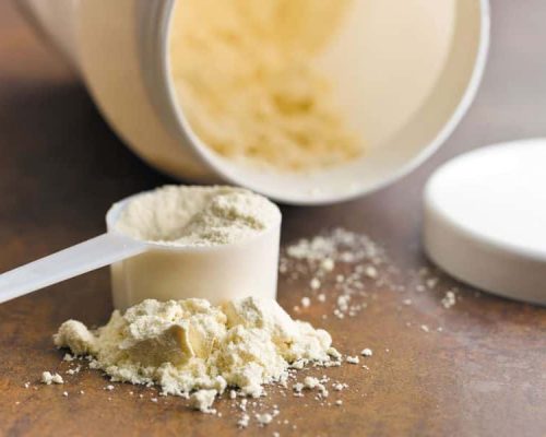 Transform With Protein: Best Protein Powder for Your Keto Journey