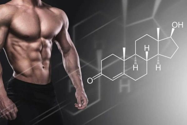 Rev Up Your Drive: The Ultimate Guide to Testosterone Pills