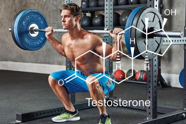 Elevate Your Performance: Best Natural Testosterone Boosters