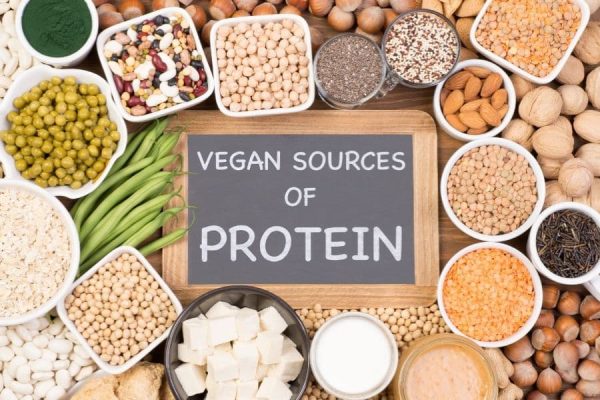 Protein Paradise: Best Vegan Diet Protein Sources for You