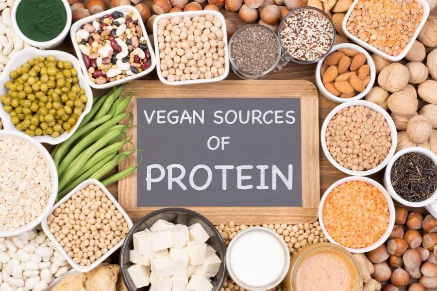 Vegan Diet Protein Sources