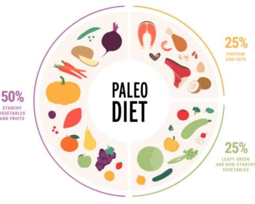 Paleo Perfection: Balancing Cholesterol with the Paleo Diet