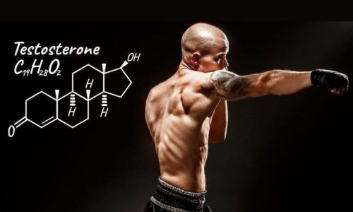 Cracking the Code: Testosterone Boosters and Hair Loss Myths