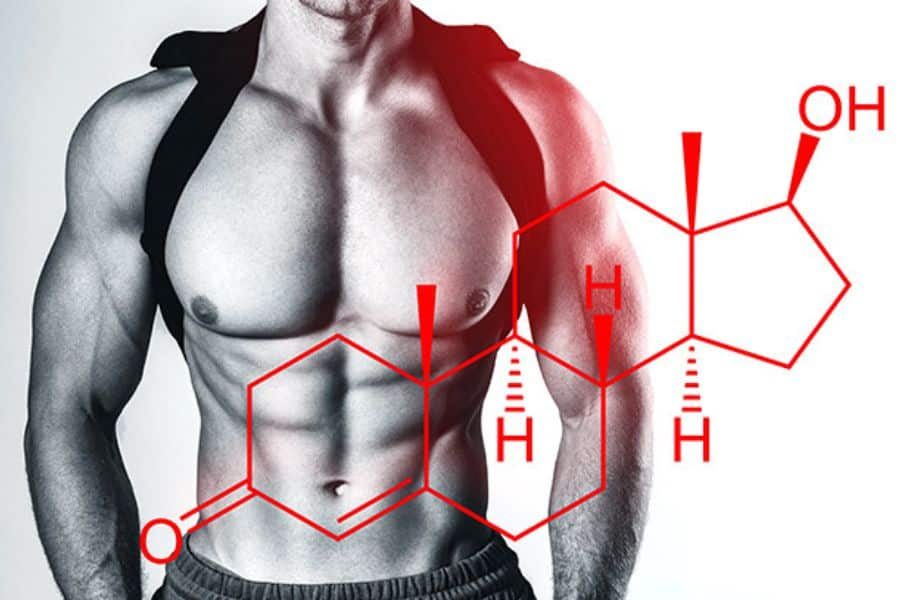 Testosterone Boosters