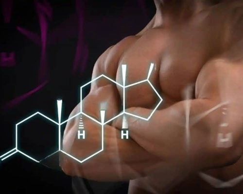 Take Charge of Your Health: Testosterone Booster Free Trial Guide