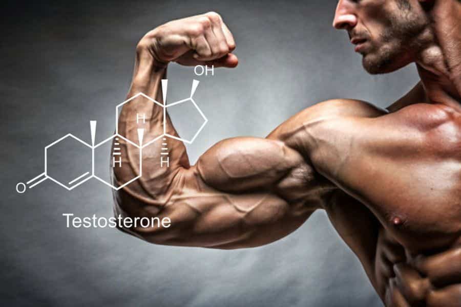 Testosterone Booster