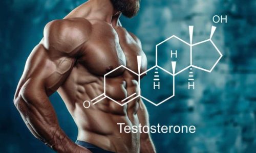 Best Testosterone Booster to Support Natural Hormone Levels