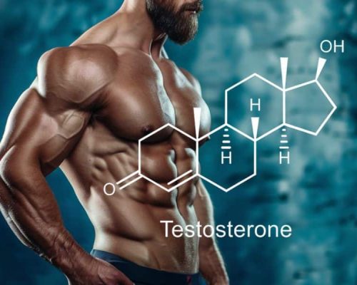 Best Testosterone Booster to Support Natural Hormone Levels