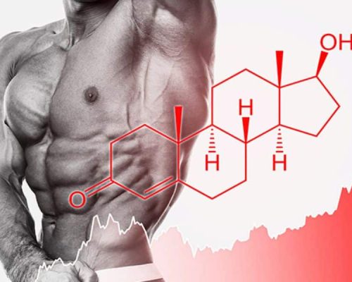 Best Testosterone Booster for Men Looking to Improve Performance