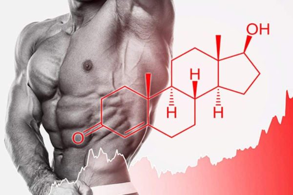 Best Testosterone Booster for Men Looking to Improve Performance